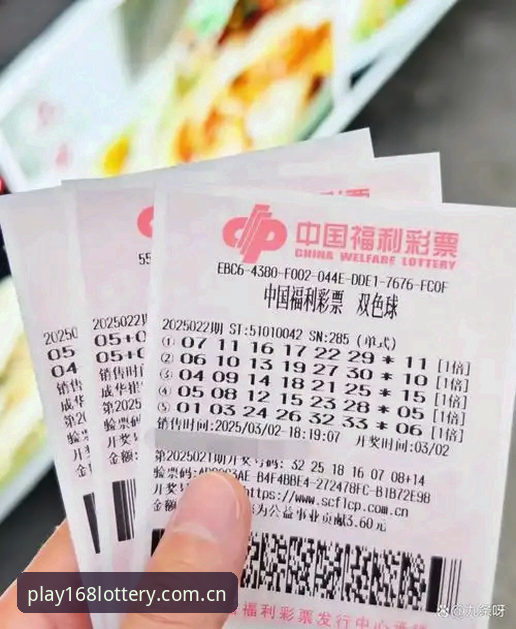 彩票官网下载 揭秘168彩票平台背后的真相:从下载到稳定体验的完整路径